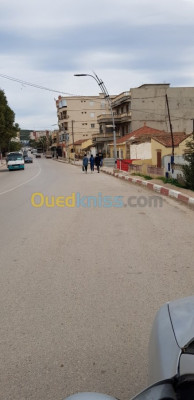 chlef-tenes-algerie-terrain-vente