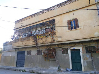 souk-ahras-sedrata-algerie-autre-vente-bien-immobilier