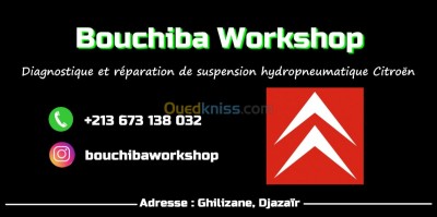 reparation-auto-diagnostic-hydropneumatic-suspension-repair-relizane-algerie