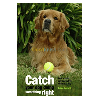 alger-draria-algerie-livres-magazines-catch-your-dog-doing-something-right