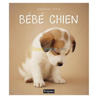 alger-draria-algerie-livres-magazines-bébé-chien