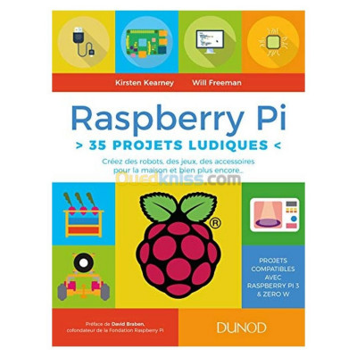 Raspberry Pi : 35 projets ludiques : créez des robots, des jeux, des accessoires pour la maison et bien plus encore...