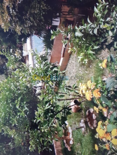 Vente Villa Alger Ben aknoun