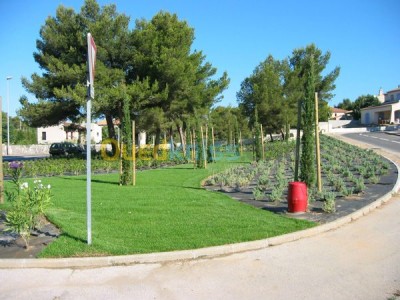 الجزائر-وسط-تنظيف-و-بستنة-aménagement-d-espace-verts-et-pepinier