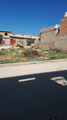 أرض-بيع-تلمسان-شتوان-الجزائر