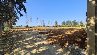 بيع أرض الجزائر أولاد الشبل