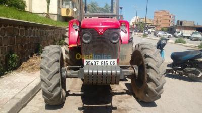 bejaia-el-kseur-algerie-tracteurs-masifirguson-440-2015