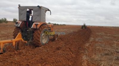 djelfa-ain-oussara-algerie-terrain-agricole-vente