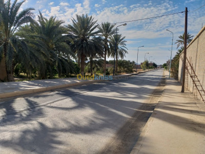 biskra-algerie-terrain-agricole-vente