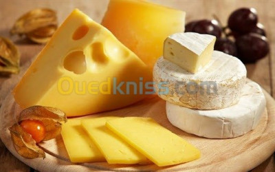 alger-bordj-el-kiffan-algerie-matières-premières-fromages-à-pâte-dure
