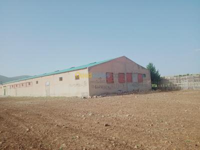batna-ouyoun-el-assafir-algerie-hangar-location