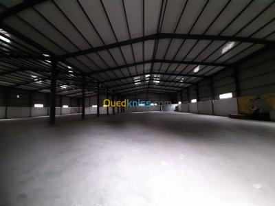 Rent Hangar Oran Oued tlelat
