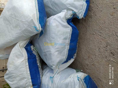 bejaia-akbou-algerie-autre-sacs-50kg