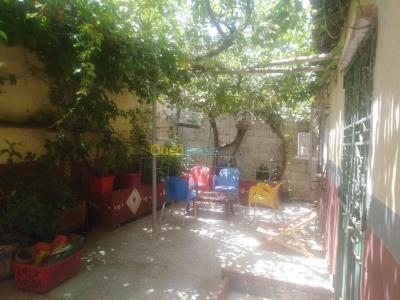 ain-defla-algerie-appartement-vente-f3