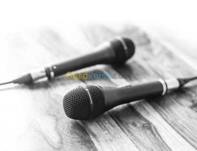 Microphone Professional Studio Pc + Trépied - Sf920- Noir - Prix en Algérie