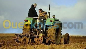 chlef-algerie-tracteurs-cirta-60006-1991