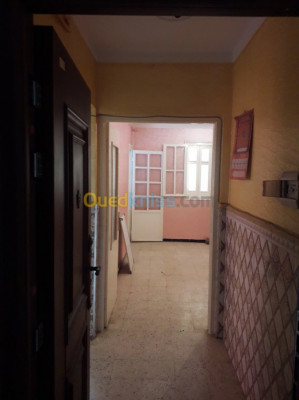 appartement-vente-f2-boumerdes-corso-algerie