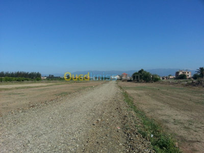 Sell Land Algiers Ouled chebel