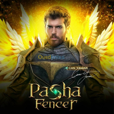 Cartes de recharge Pasha Fencer