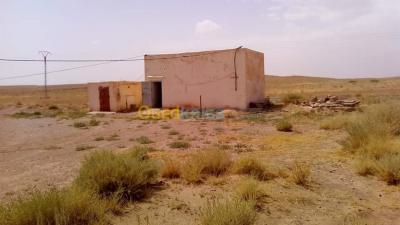 laghouat-tadjemout-algeria-farmland-sell