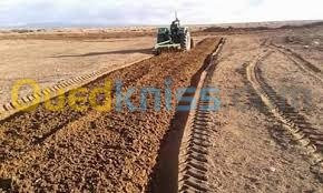 mascara-zahana-algerie-terrain-agricole-vente