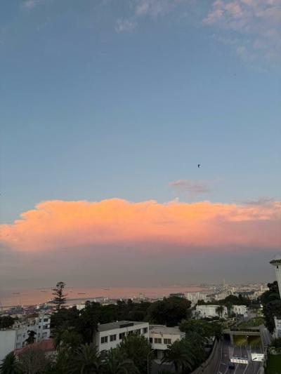 Vente Terrain Alger El biar