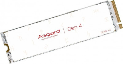 SSD NVME ASGARD 1TO GEN4 7450MB/S