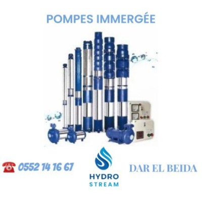 POMPE IMMERGÉE VERTICAL HORIZONTAL VIDE CAVE VIDE FOSSE NORLY INOX TURBINE PUITS FORAGE