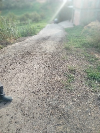 بيع أرض الجزائر درارية