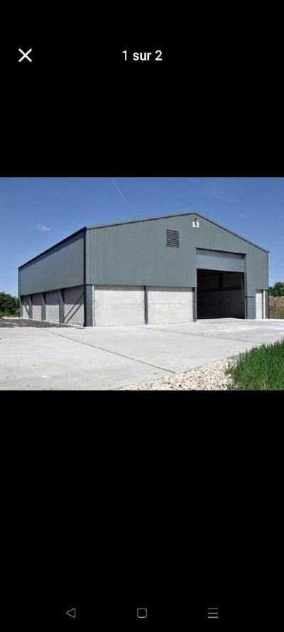 Location Hangar Alger Staoueli