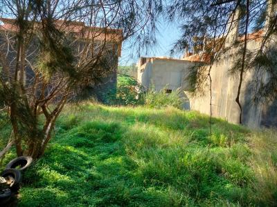 terrain-vente-alger-birtouta-algerie