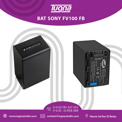 BAT SONY FV100 FB