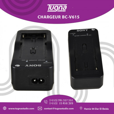 CHARGEUR SONY V615