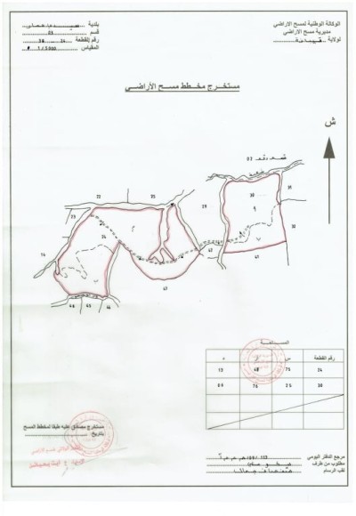 Sell Farmland Tipaza Sidi amar