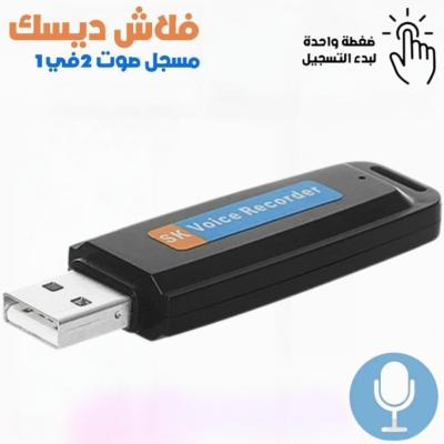 Enregistreur Vocal Flash Disque USB 