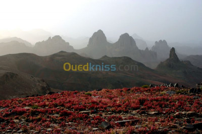 tamanrasset-algerie-image-son-prise-de-vues-reportage-photos