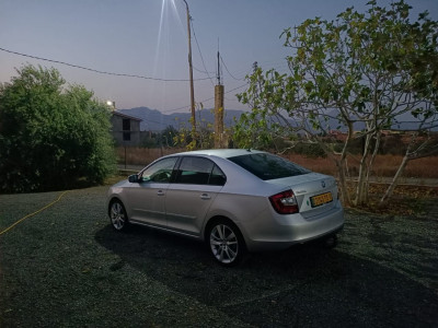 citadine-skoda-rapid-2019-edition-algerie