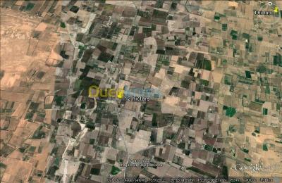 بيع أرض المسيلة مسيلة