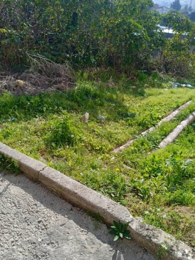 Vente Terrain Annaba Annaba