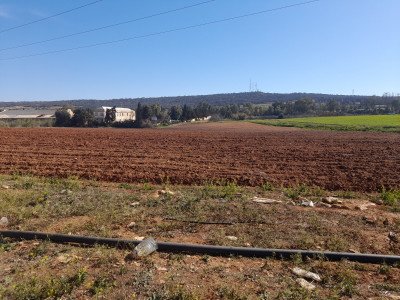 terrain-agricole-vente-mostaganem-hassi-maameche-algerie