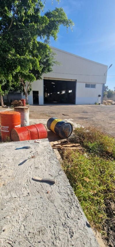 Rent Hangar - Factory Boumerdès Boudouaou