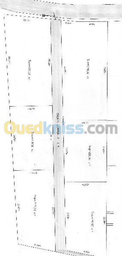 Vente Terrain Alger Khraissia