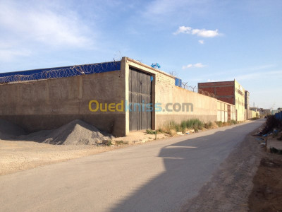 oran-ain-el-kerma-algeria-hangar-rent