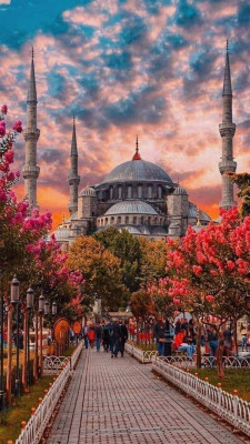 Istanbul à partir de 79500 DA avec Turkish