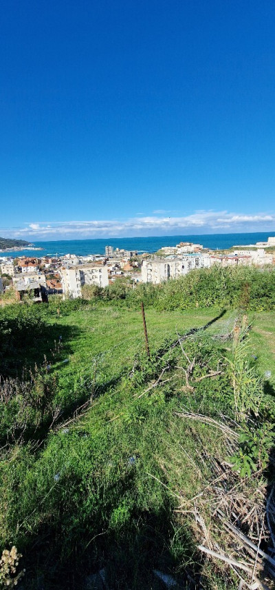 terrain-vente-el-tarf-kala-algerie