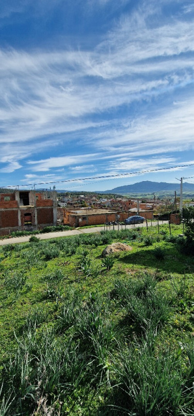 terrain-vente-el-tarf-raml-souk-souarekh-algerie