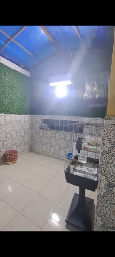 Vente Appartement F4 Sidi Bel Abbès Sidi bel abbes