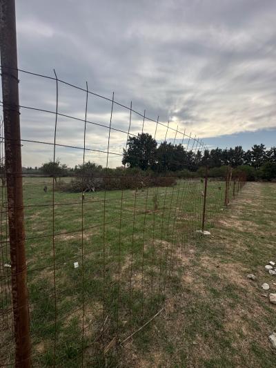 Vente Terrain Alger Reghaia