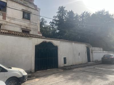 فيلا-بيع-الجزائر-بن-عكنون