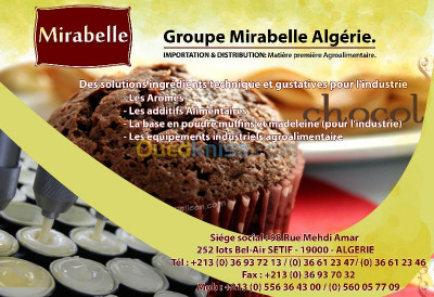Muffins Madeleine